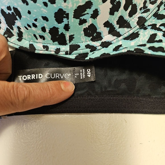 Torrid Teal cheetah bra and panties set. Bra 42C panties 2xl - Picture 8 of 8